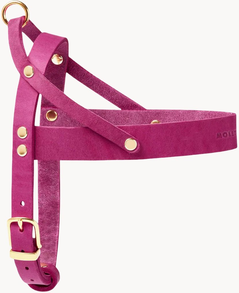Imbracatura per cani in pelle Classic, varie misure