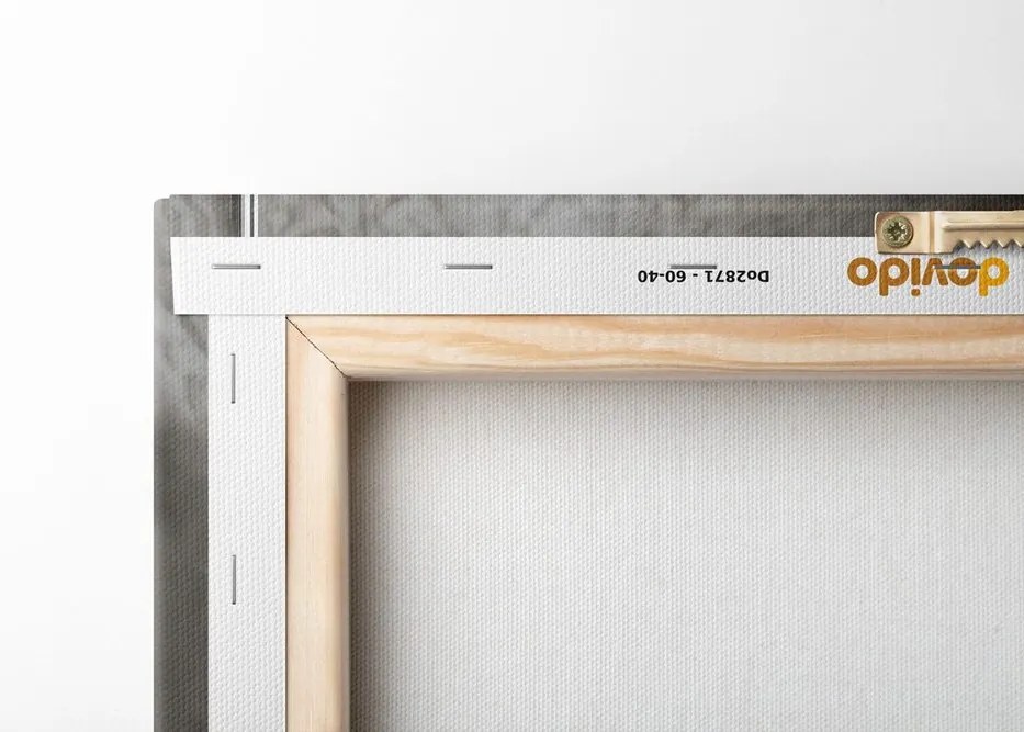 Quadro su tela – Leone bianco con giornali in bagno