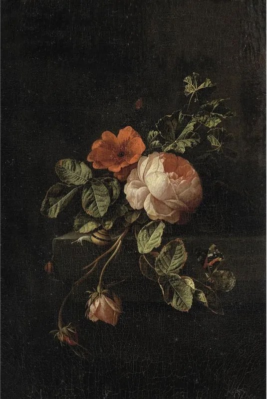Fotomurale ESTA Fiori, nero 186X280 cm