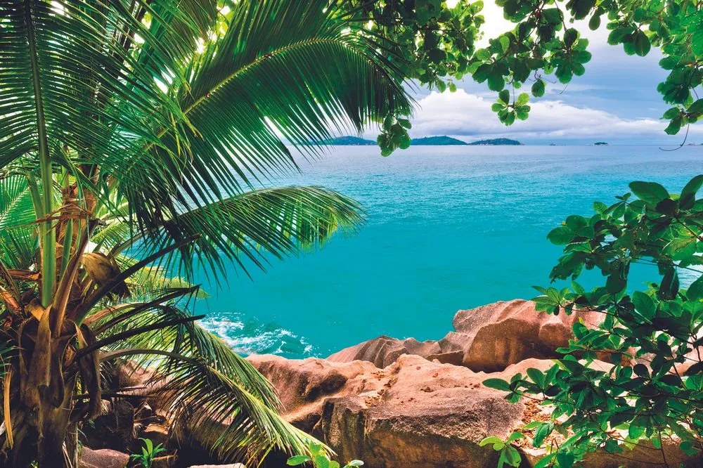 Carta da parati – Splendida vista sul mare