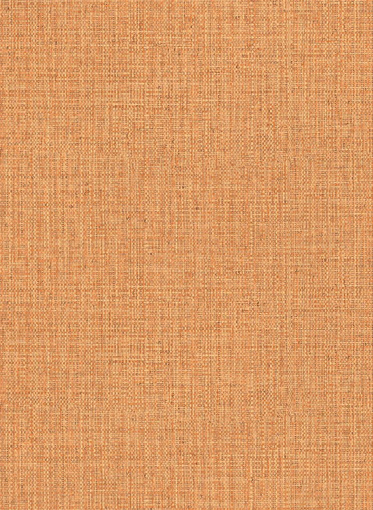 Arte International Carta da parati Nongo - Amber