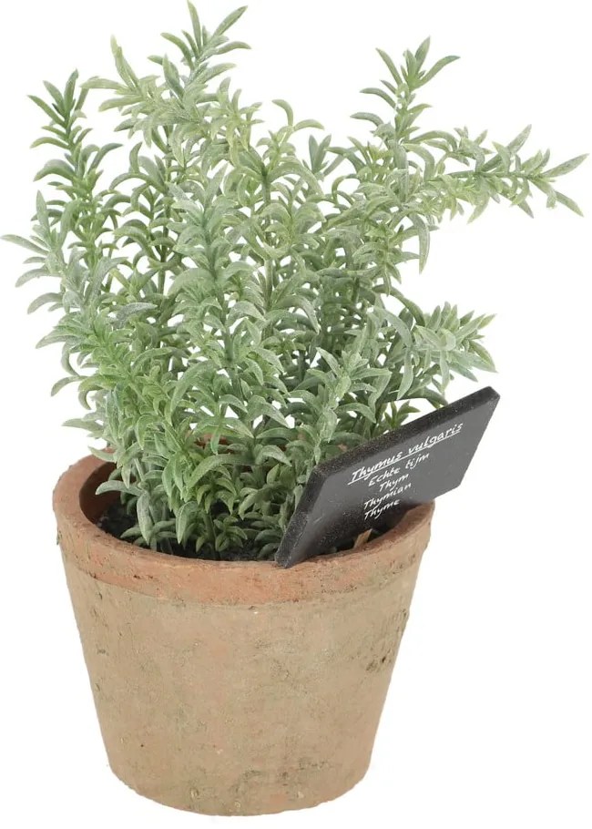 Pianta artificiale (altezza 21,5 cm) Thyme - Esschert Design