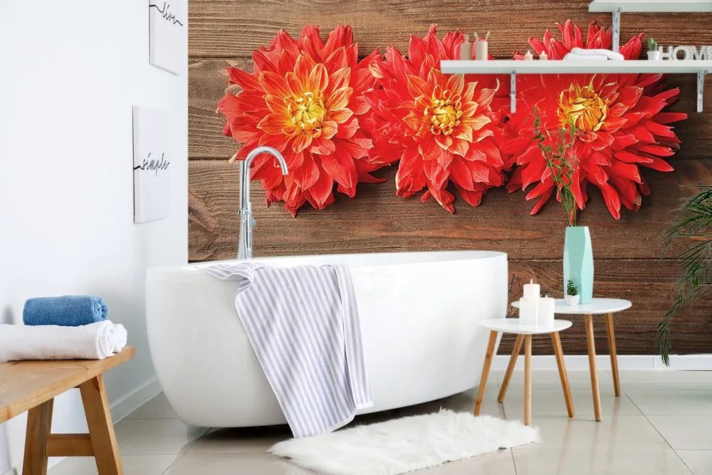 Carta da parati – Fiori di dalia su legno