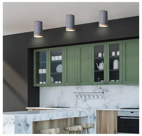 Plafoniera LED TUBA LED/9W/230V