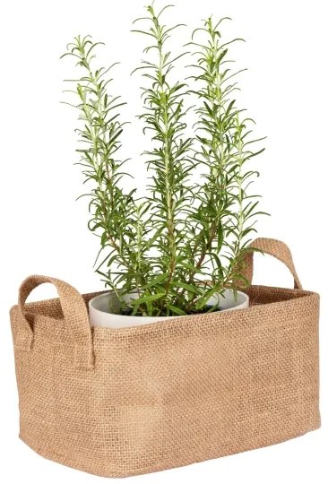 WENKO 64471100 - Cestino JUNA 24x17 cm marrone