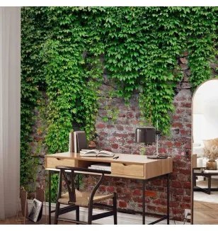 Fotomurale  Edera e mattoni Premium 200x140