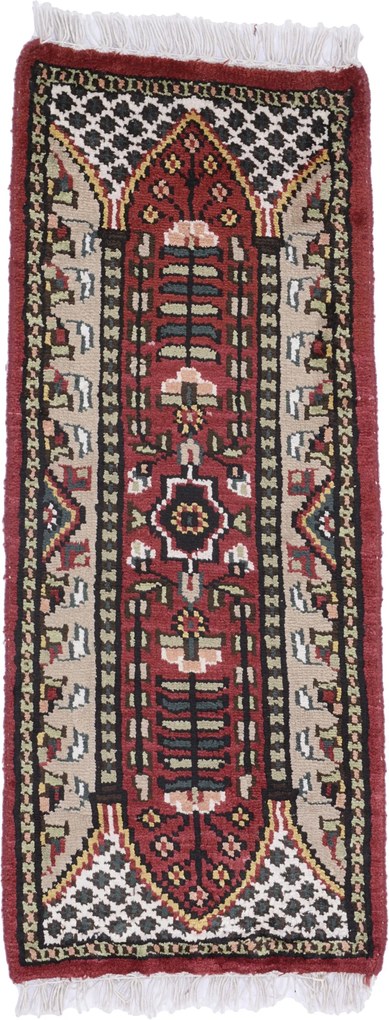 Agra Tappeto orientale 60 x 30 (Indian) Annodato A Mano
