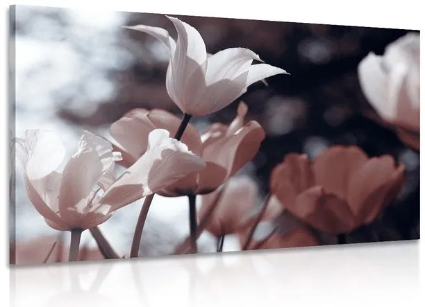Stampa su tela – Tulipani primaverili nel parco