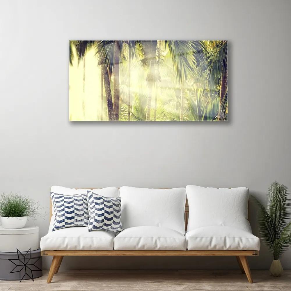 Quadro vetro acrilico Foresta, palme, natura 100x50 cm