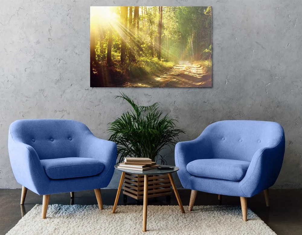 Quadro su tela – Raggi di sole nella foresta