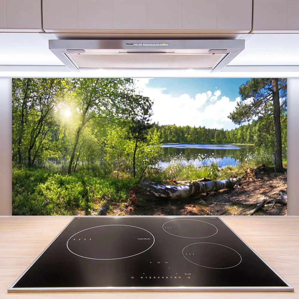 Pannello paraschizzi cucina Foresta, alberi, lago, natura 100x50 cm