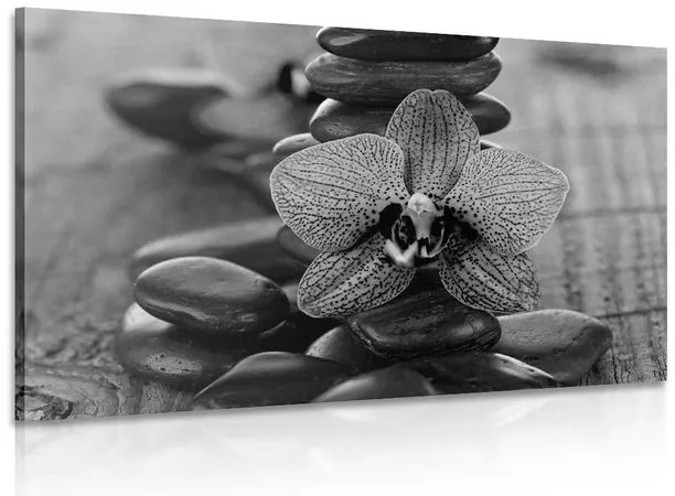 Stampa su tela – Orchidea e pietre Zen in bianco e nero