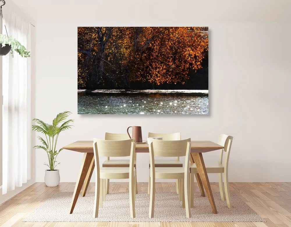Quadro su tela – Riflesso delle foglie nel lago
