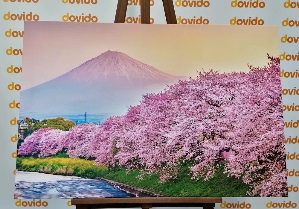 Stampa su tela – Vulcano Fuji del Giappone