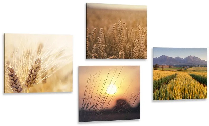 Set di quadri – Incanto della natura