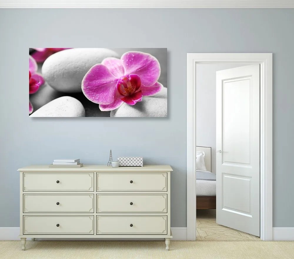 Quadro su tela – Fiori di orchidea su pietre bianche