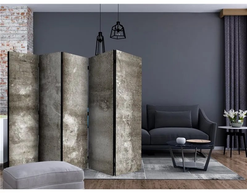 Paravento Cold Concrete II [Room Dividers]