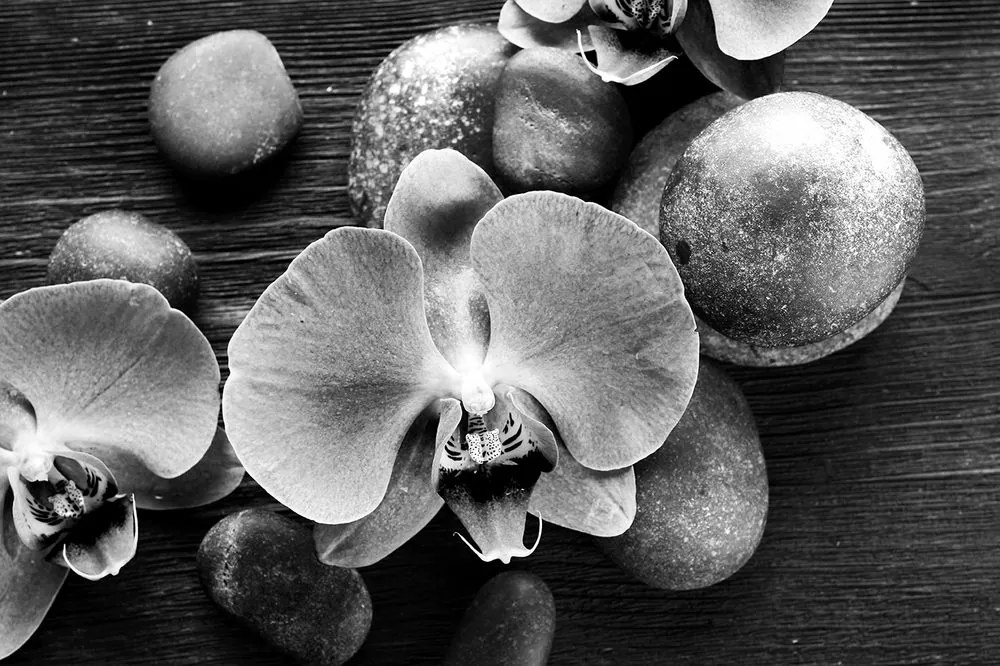 Carta da parati autoadesiva – Orchidea e pietre in bianco e nero
