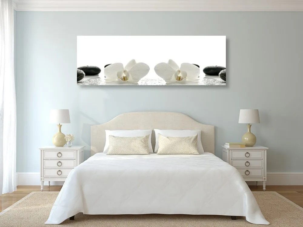 Quadro su tela – Fiori bianchi di orchidea