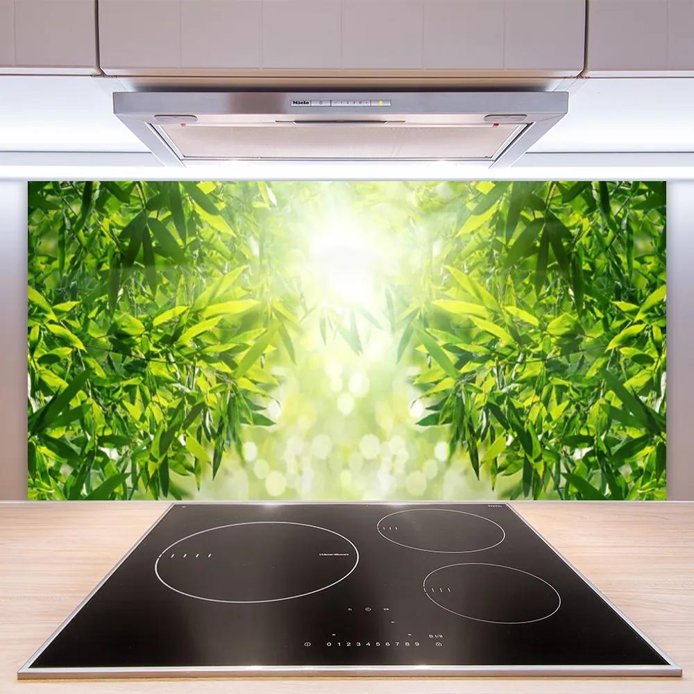 Schienali cucina Foglie di piante naturali 100x50 cm