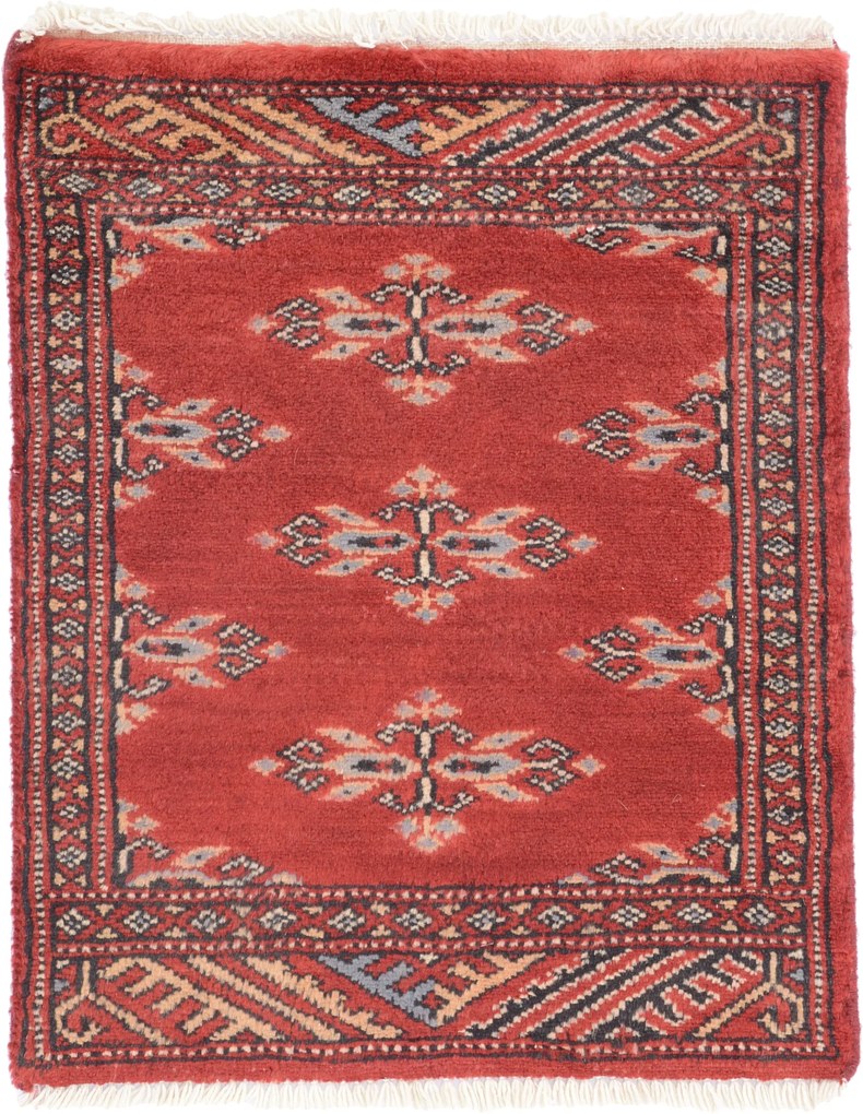 Bokhara Tappeto 50 x 60 (Pakistan) Annodato A Mano