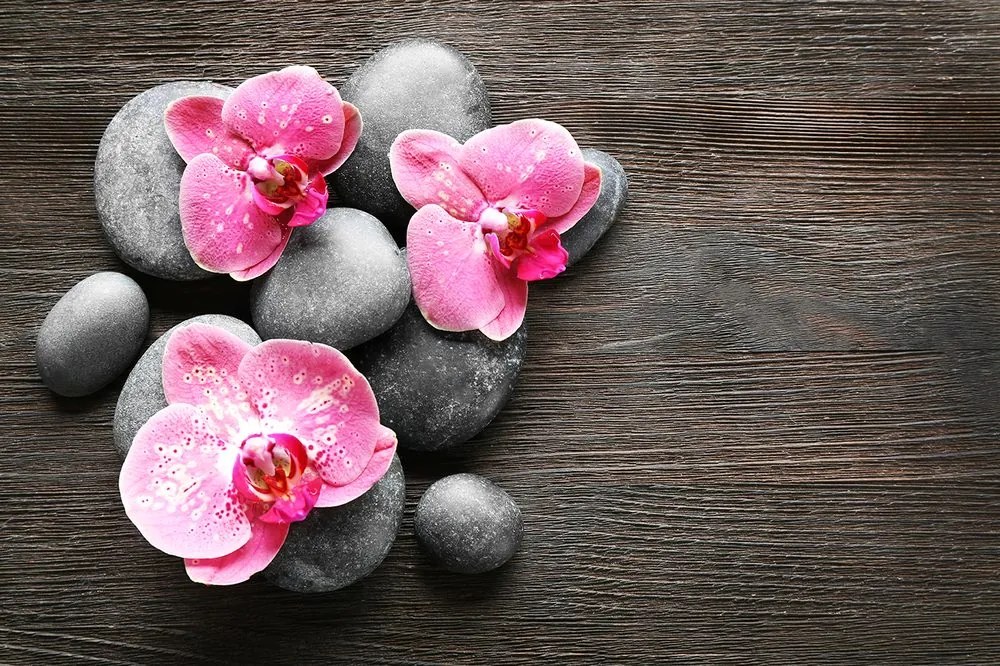 Carta da parati autoadesiva – Composizione Zen con orchidea