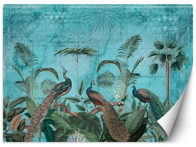 Carta Da Parati, Pavoni Uccelli Tropicali Turchese  Dimensioni 250x175, Finitura Carta da Parati Effetto spazzolato, Tipo di Carta da