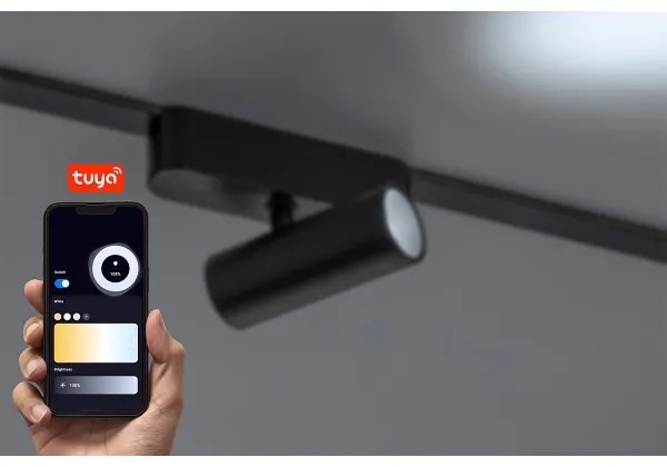 Rabalux 70125 - LED Faretto dimmerabile per sistema a binario monofase LiTrack LED/5W/24V