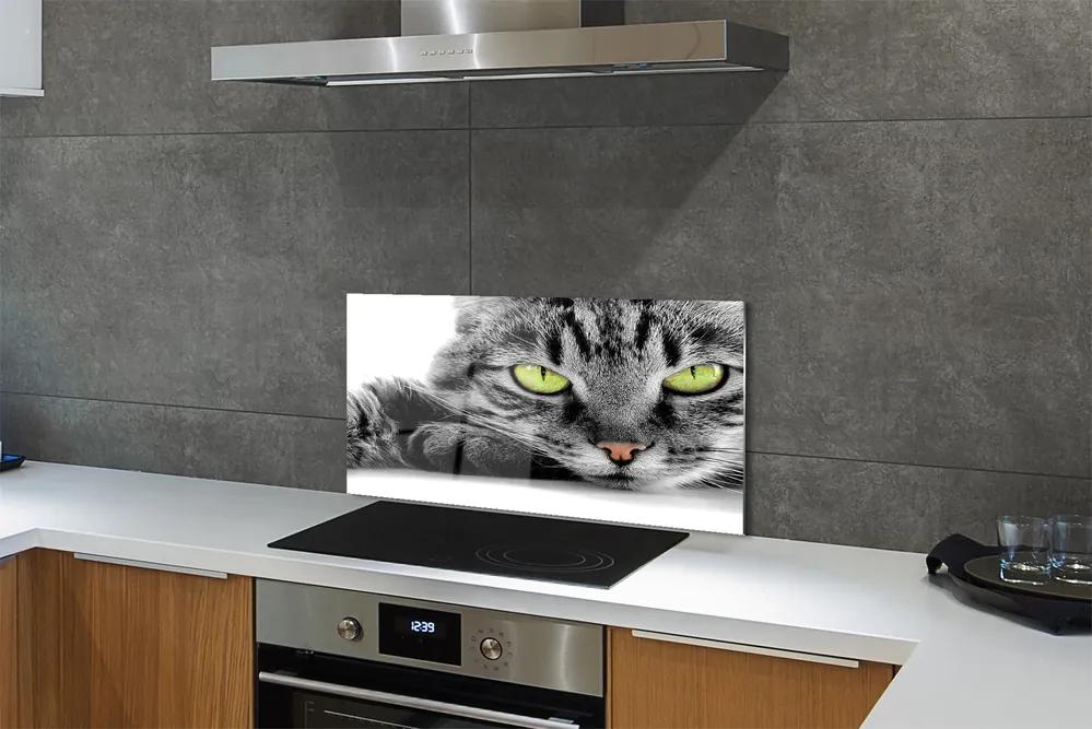 Pannello paraschizzi cucina Gatto grigio e nero 100x50 cm