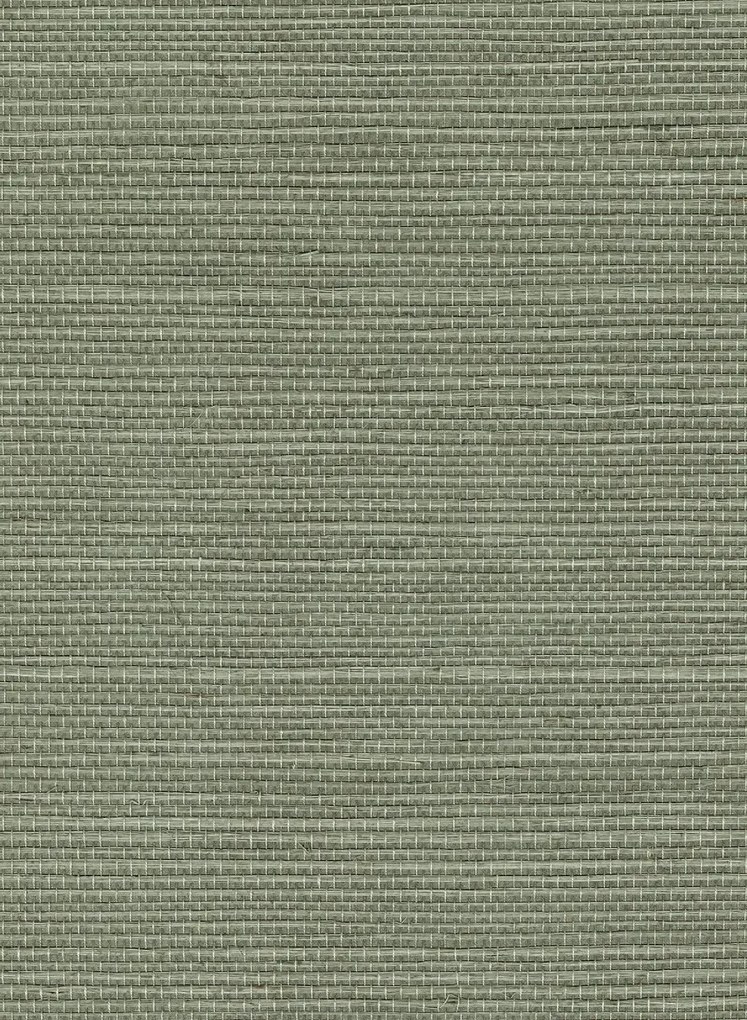 CMO Paris Carta da parati Sisal - Acier