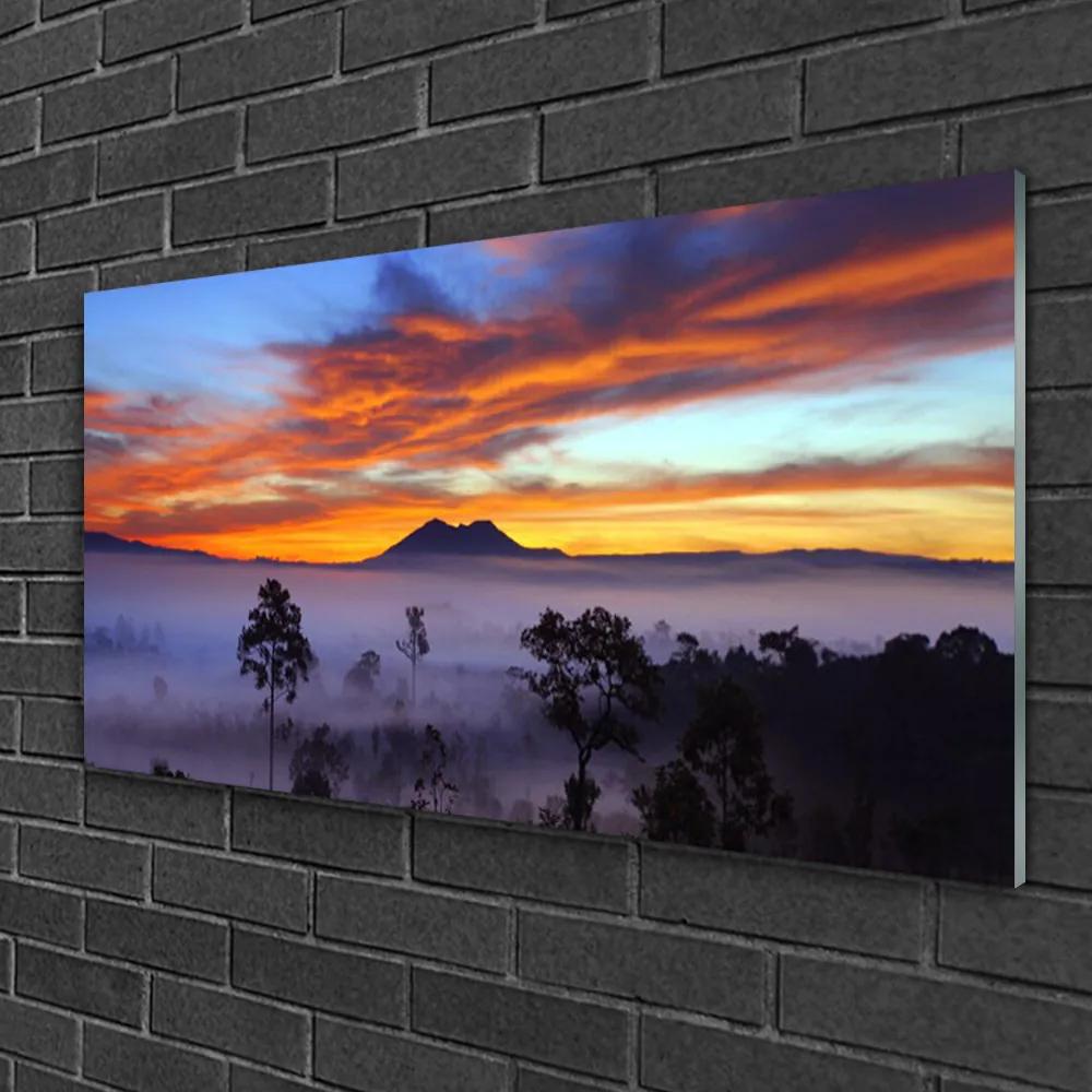 Quadro vetro Alberi Nebbia Paesaggio 100x50 cm