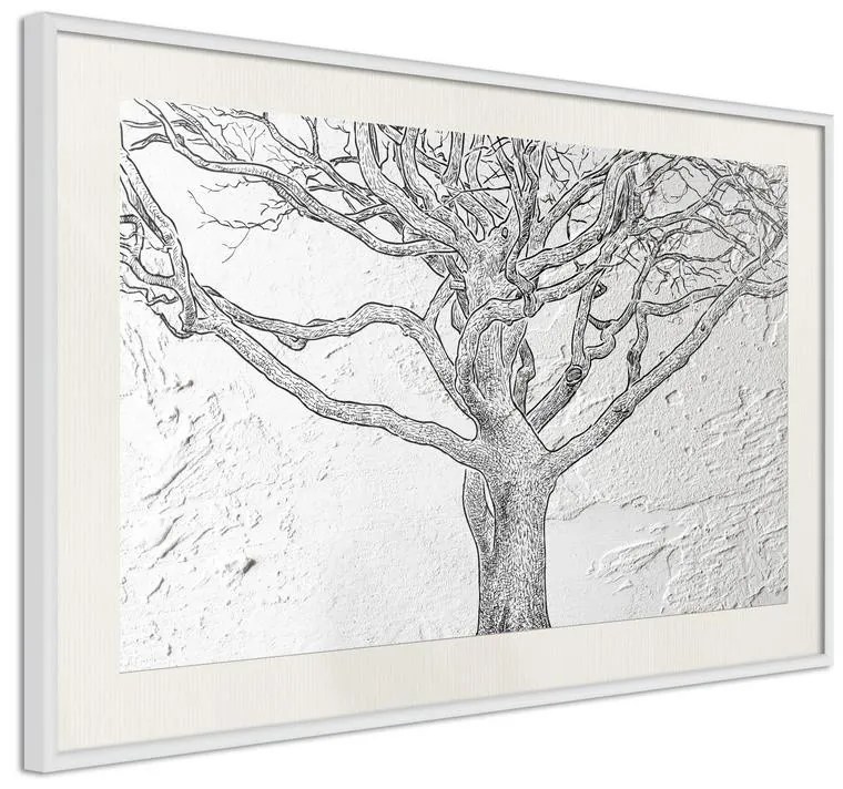 Poster  Tangled Branches  Cornice Quadri Cornice nera con pass-partout, Larghezza x Altezza Home decor 30x20