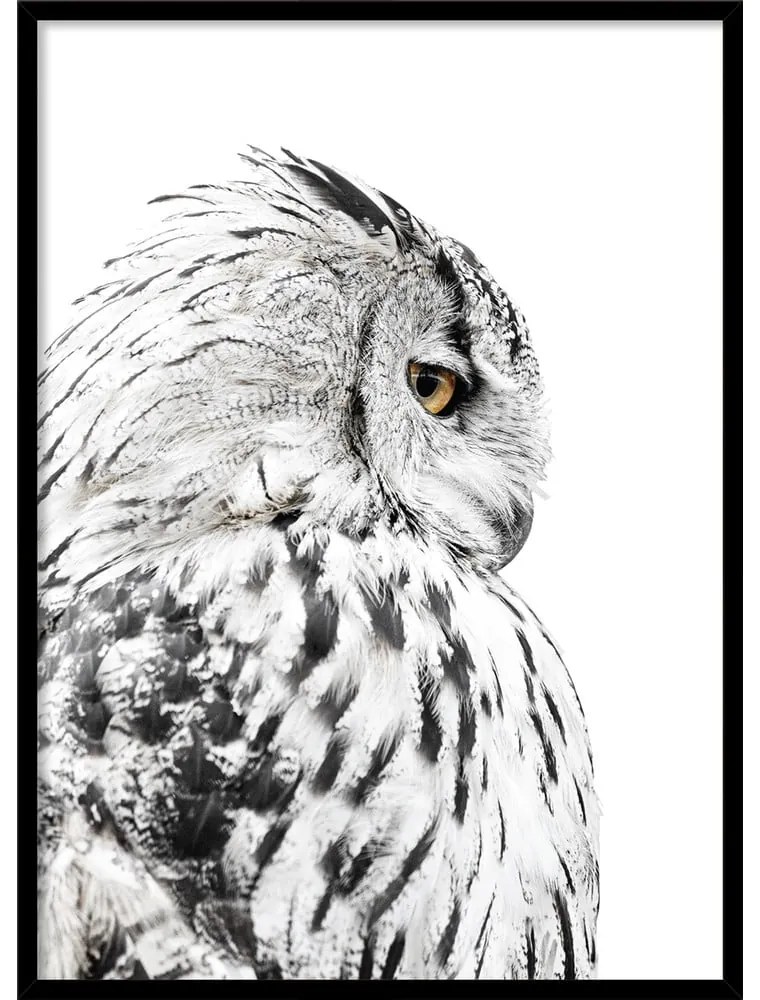 Dipinto 50x70 cm Owl – Styler