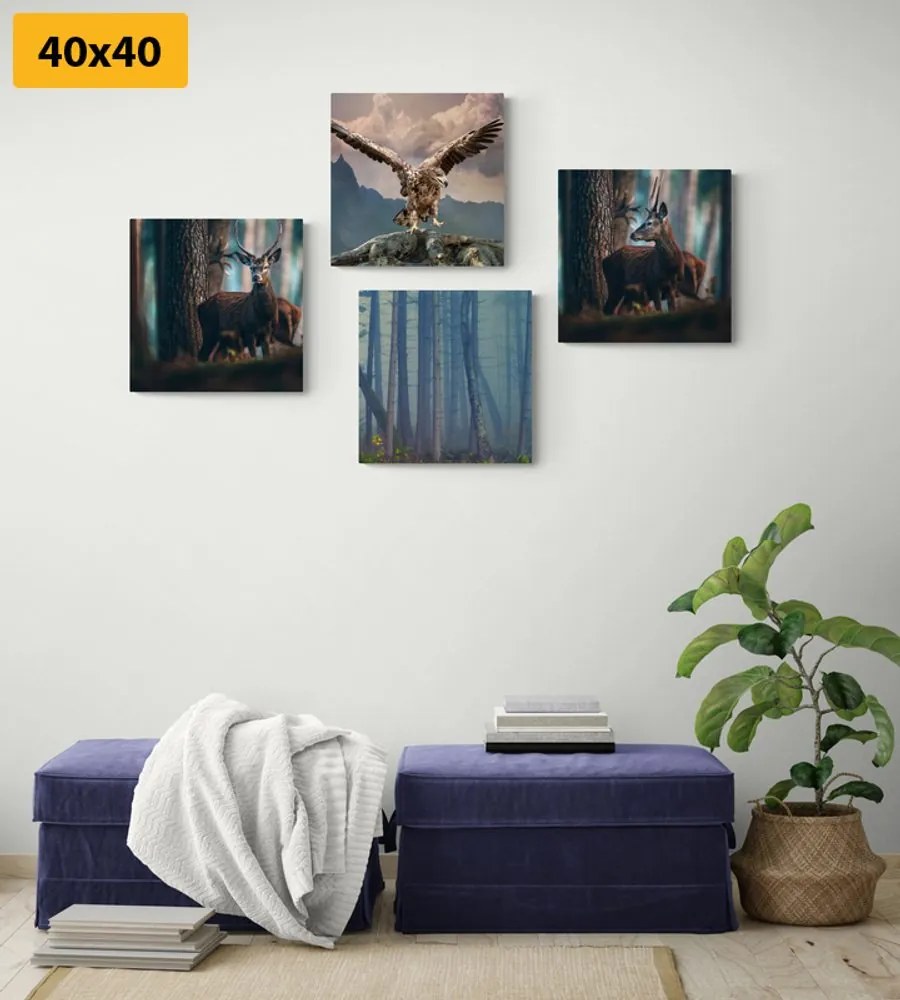 Set di quadri – Angolo del bosco