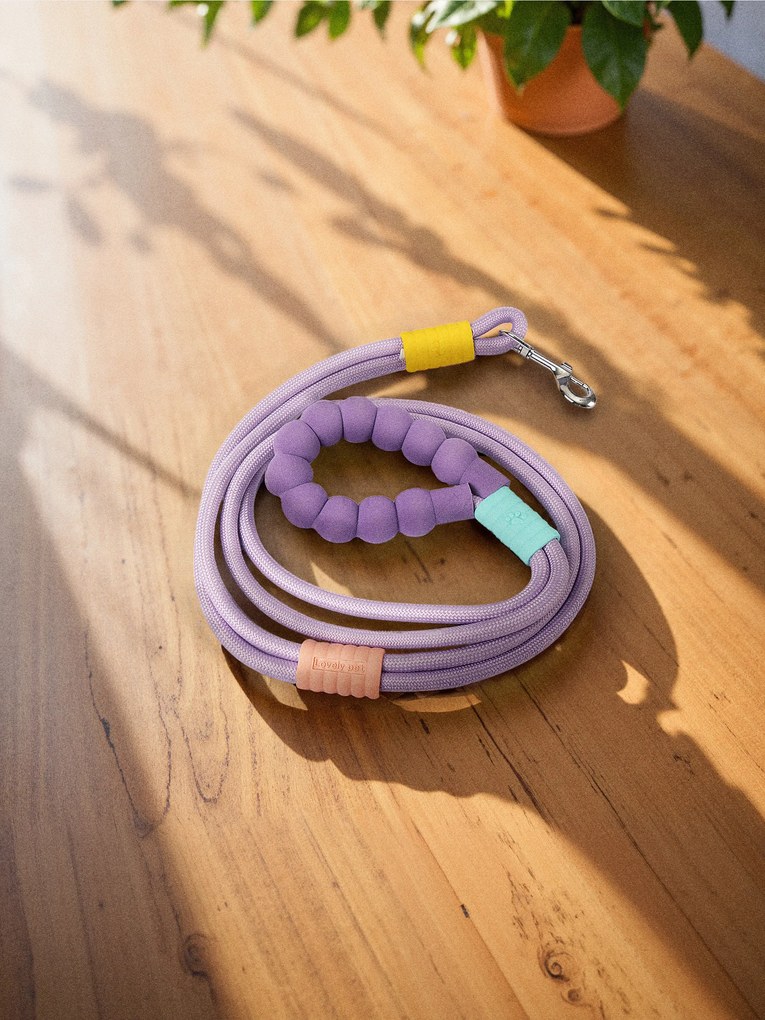Sinsay - Guinzaglio per cane - viola