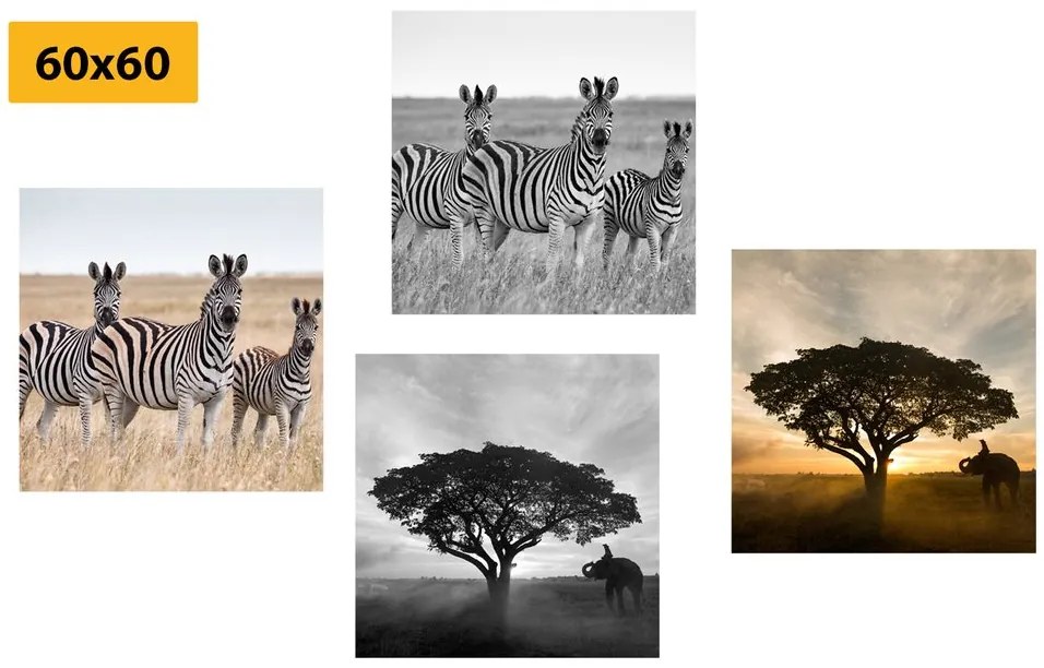 Set di quadri – Animali che vivono nella Savana