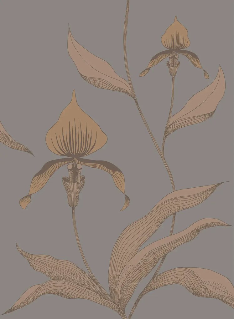 Cole & Son Carta da parati Orchid - Bronze on Slate