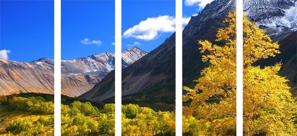Quadri 5 pezzi – Natura meravigliosa in Kamčatka, Russia
