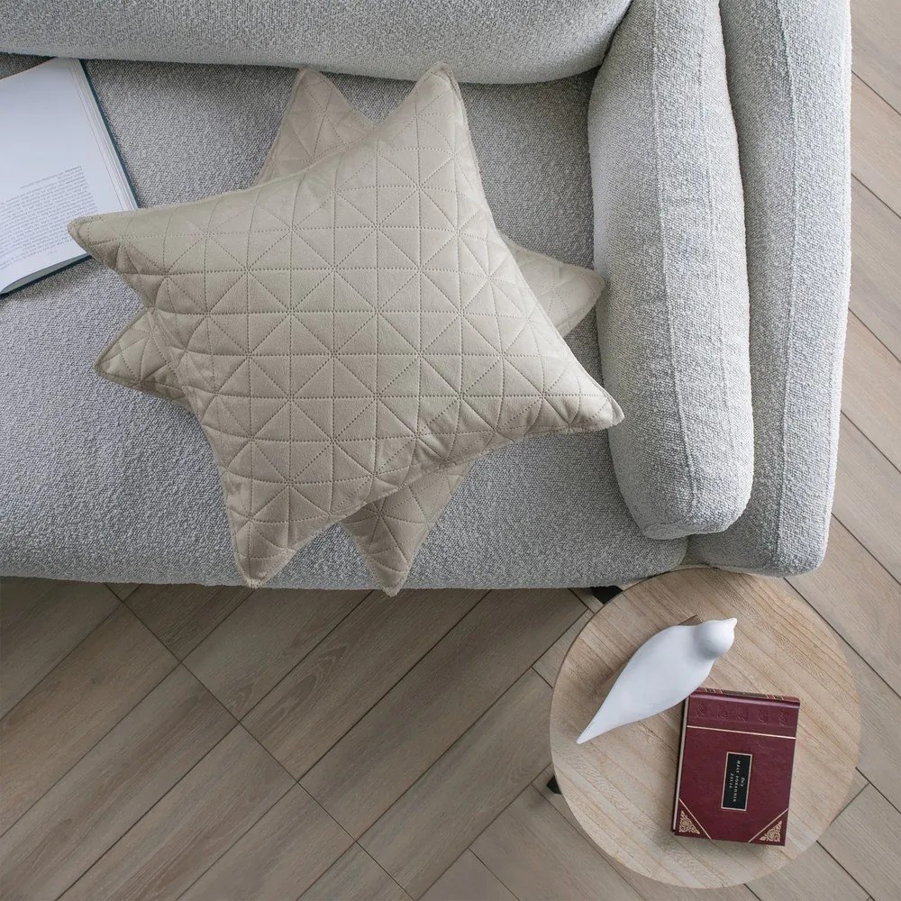 Federe decorative in set in velluto 2 pz 50x70 cm Laila – Restilo