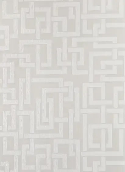Tapete Enigma von Farrow & Ball - Purbeck Stone/ Ammonite