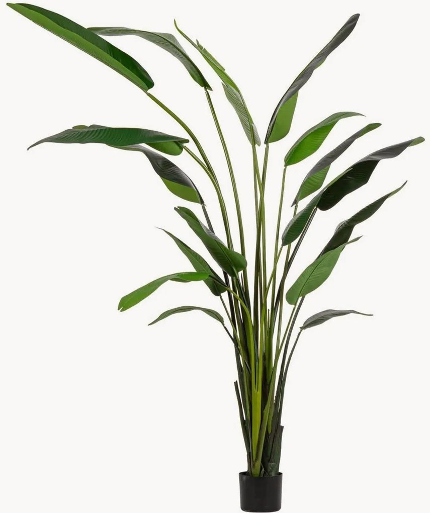 Pianta artificiale da esterno Strelitzia, alt. 310 cm