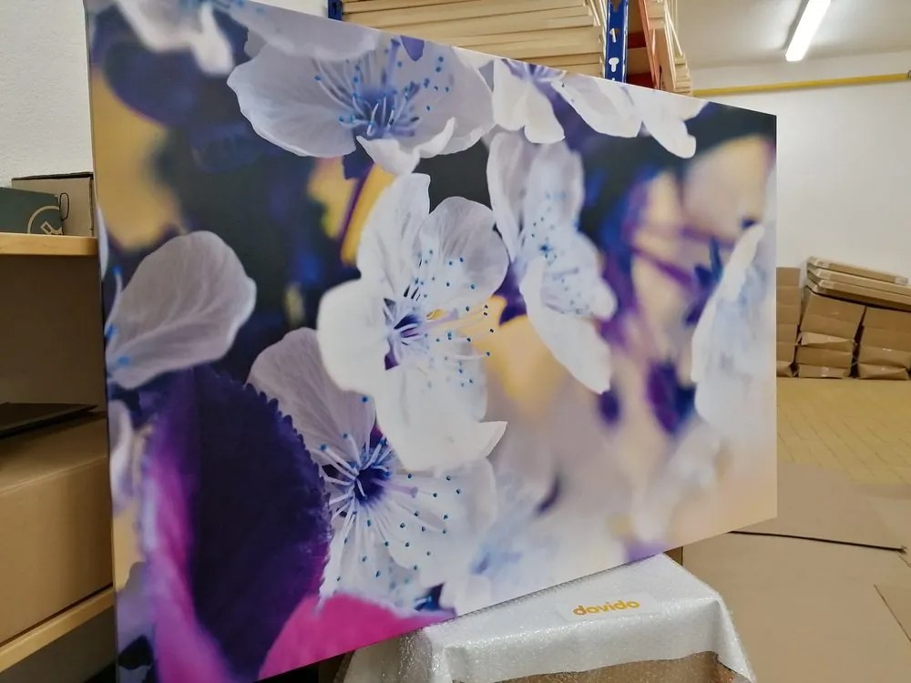 Stampa su tela – Ramo di ciliegio in fiore