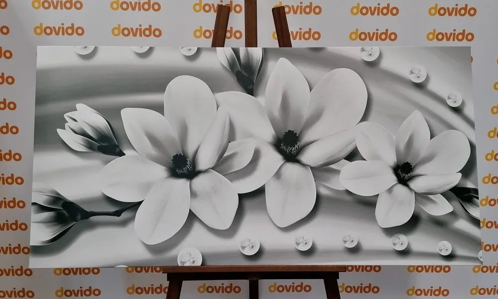 Stampa su tela – Magnolia di lusso con perle in bianco e nero