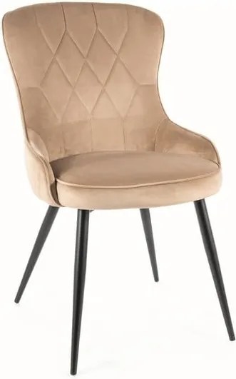 Sedia Lotus velluto beige velluto Blu28