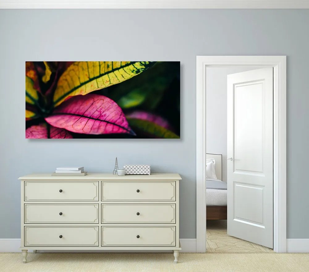 Quadro su tela – Foglie fresche