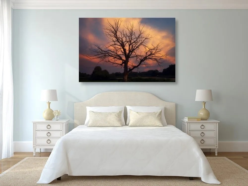 Stampa su tela – Splendido albero sul prato