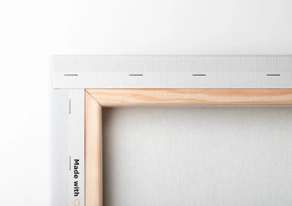 Quadro su tela – Steli d'erba con un tocco di minimalismo