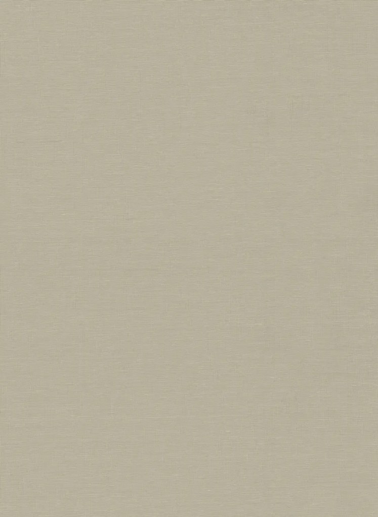 Armani Casa Carta da parati Plain Oberon - 9081