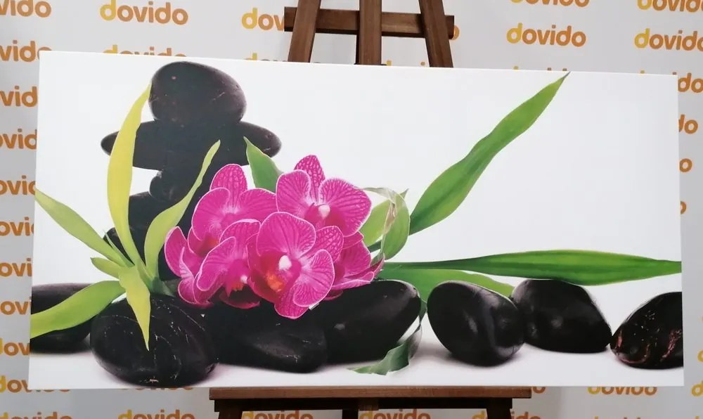 Stampa su tela – Orchidea viola in natura morta Zen