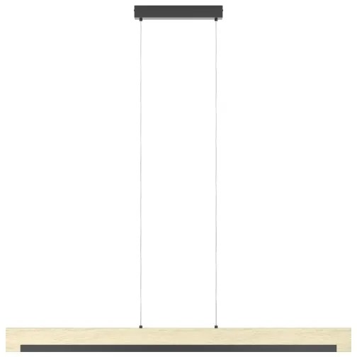 Eglo 901737 - Lampadario a sospensione con filo LED dimmerabile CAMACHO LED/25,5W/230V nero/beige
